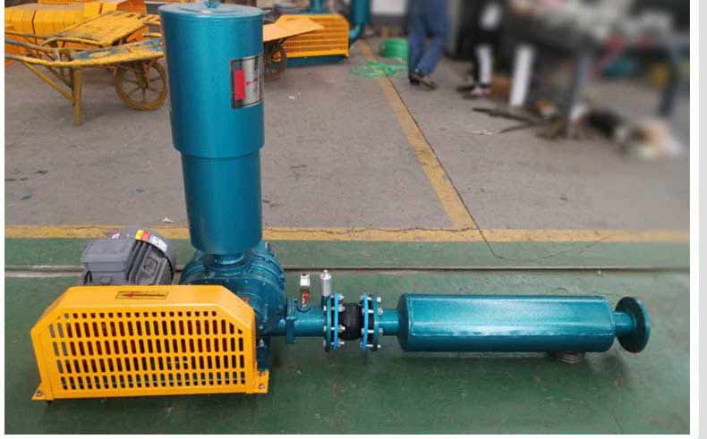 三叶罗茨鼓黄瓜视频黄色下载工厂实拍 三叶罗茨鼓黄瓜视频黄色下载工厂实拍