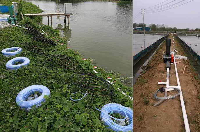 水产养殖罗茨黄瓜视频黄色下载 水产养殖罗茨黄瓜视频黄色下载