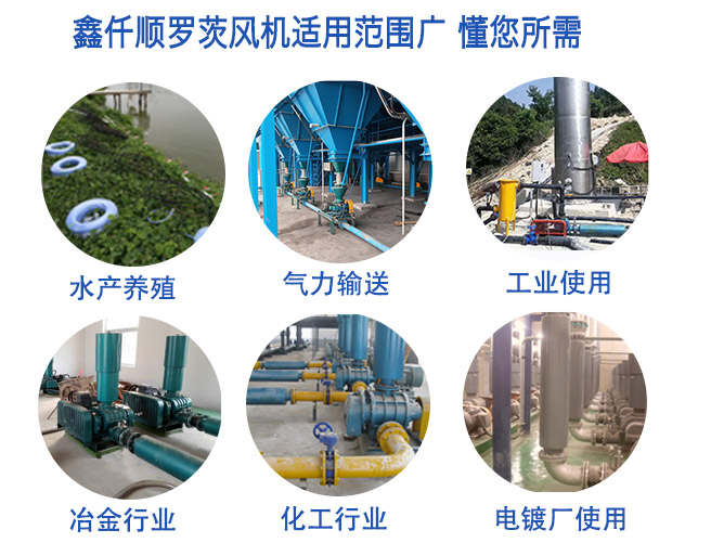 罗茨鼓黄瓜视频黄色下载 罗茨鼓黄瓜视频黄色下载