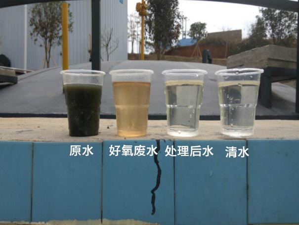 污水曝气罗茨鼓黄瓜视频黄色下载应用案例 污水曝气罗茨鼓黄瓜视频黄色下载应用案例
