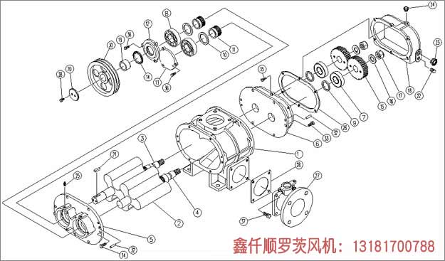 三叶罗茨鼓黄瓜视频黄色下载安装示意图